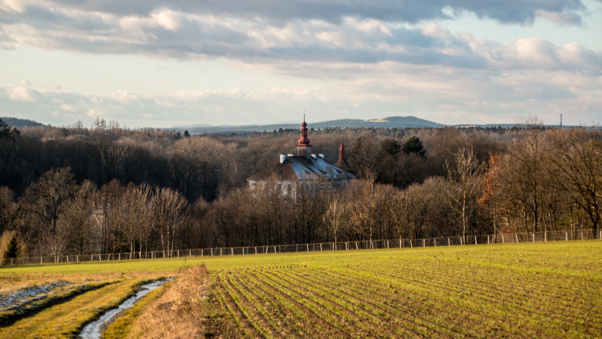 Měnič obrázků - fotografie